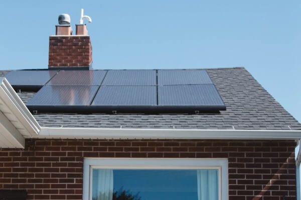 PEST CONTROL HEMEL, Hertfordshire. Services: Solar Panel Bird Proofing. Keep Your Solar Panels Secure from Avian Menaces with Local Pest Control Ltd's Tailored Bird Proofing Services in Hemel